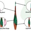2-min.jpg Wood mix Epoxy Resin Crochet Hook Set with Aluminum Tips – Artistic & Ergonomic